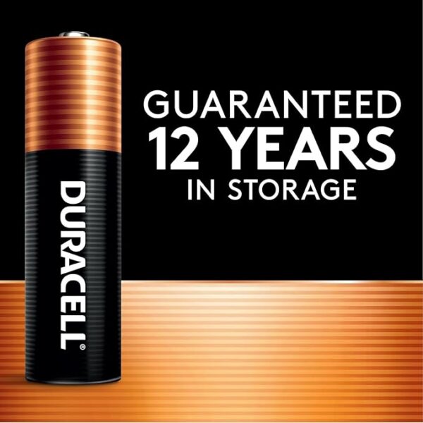 Duracell Coppertop - Image 2